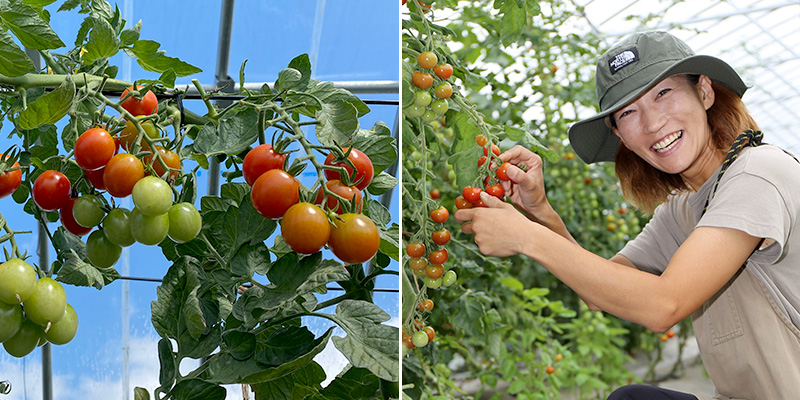 安心安全な野菜づくり おだしま農園